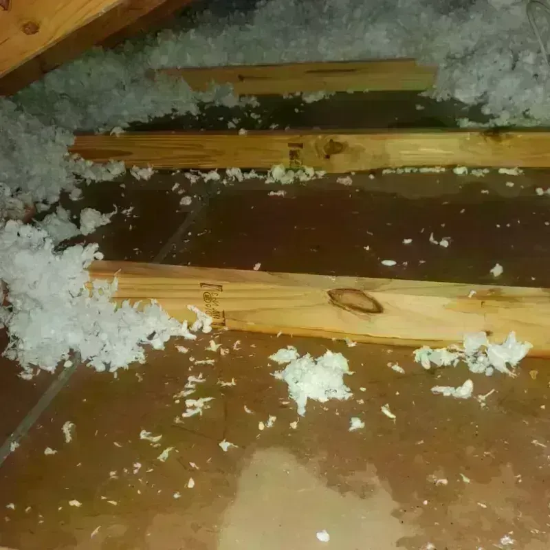 Attic Water Damage in Hillsdale, MI