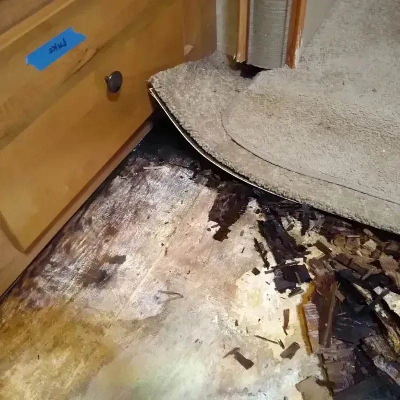 Wood Floor Water Damage in Hillsdale, MI